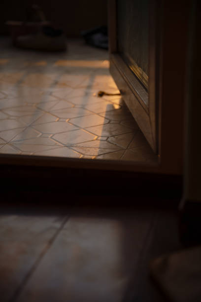 istock The floor under the sunrise sun 1384754728