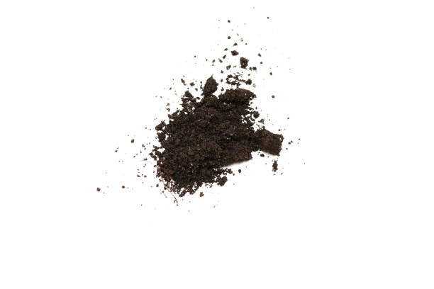 istock Black land for plant isolated on white background. 1384754848