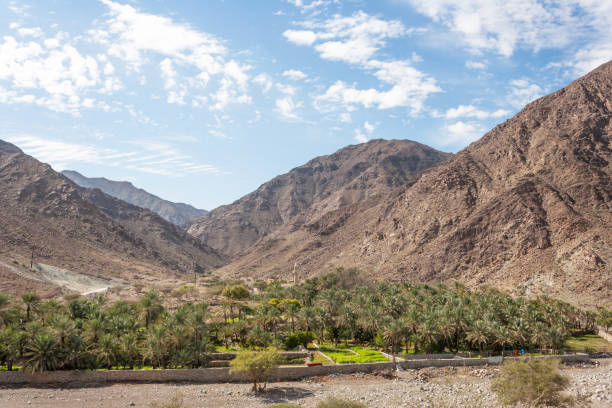 A Palm Plantation in Wadi Shares A hamlet and palm plantation in Wadi Saham in the Hajar Mountains of the Emirate of Fujairah, in the United Arab Emirates. fujairah stock pictures, royalty-free photos & images