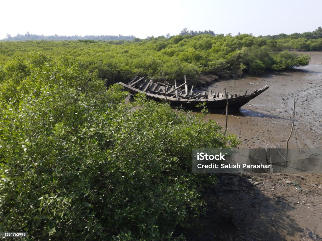 Landscape of muddy creek at low tide at Revas near Alibag Landscape of muddy creek at low tide at Revas near Alibag state Maharashtra India Abandoned Stock Photo