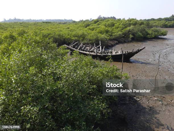 Landscape Of Muddy Creek At Low Tide At Revas Near Alibag Stock Photo - Download Image Now