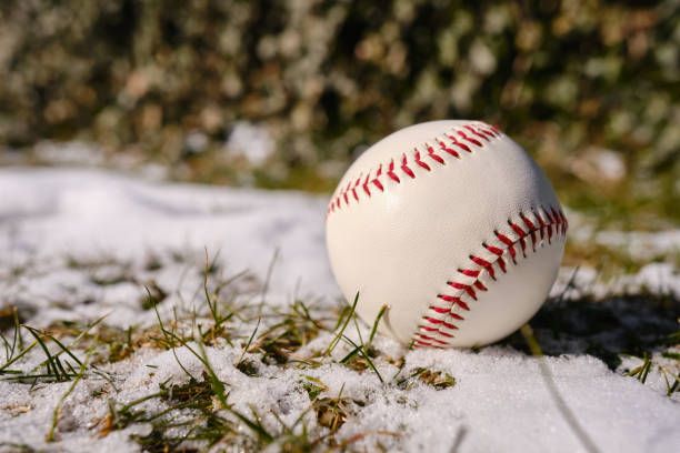 Baseball ball on green grass with snow. Baseball Match Day. Regular season games. Baseball league, team competition and championship. Baseball bat and ball. Sport party in United States. Professional tournament stock photo