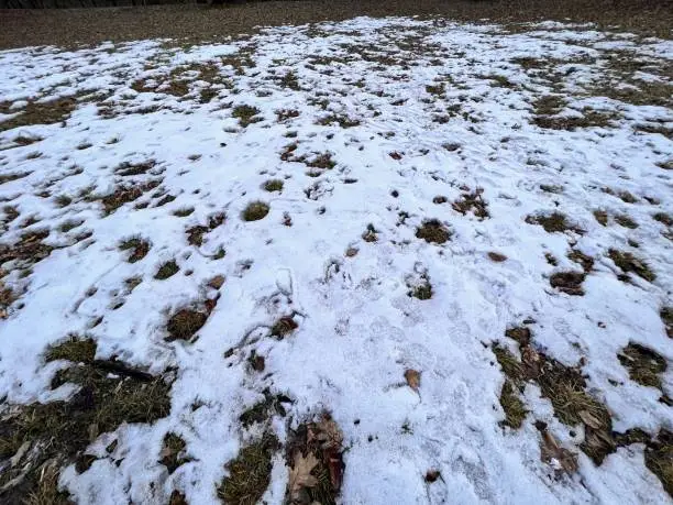 Winter in the Alps