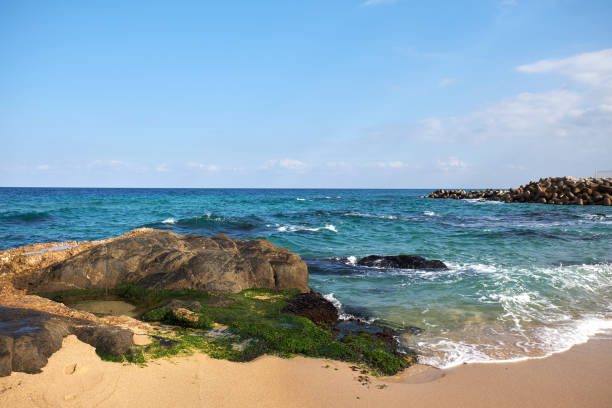 istock Gyeongpo Beach 1384773052