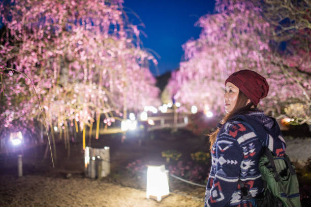 A Japanese woman enjoying strolling through a plum blossom tree park illuminated at night.