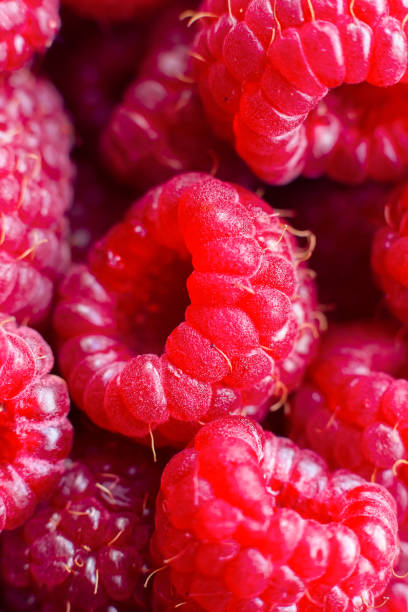 istock Macro of ripe red raspberry. Food background. Close-up. 1384777730