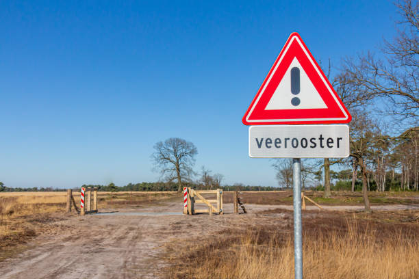 istock Country path  with a road sign indicating caution, inscription below reading: Cattle Grid, trees in the background 1384782272