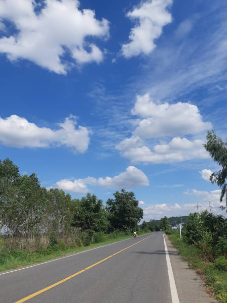 istock Road along the trees and beautiful sky 1384786027