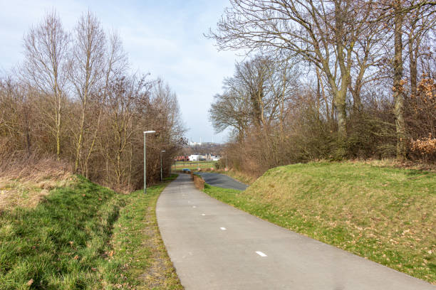 istock Cycle lane in both directions surrounded by bare trees, next to a rural road with a car circulating 1384786031
