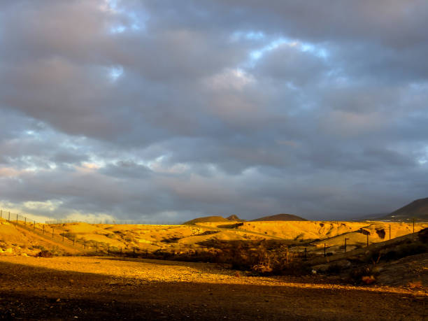 istock Landscape in Tropical Volcanic Canary Islands Spain 1384788964