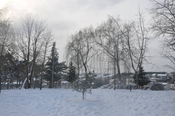 istock A view of park 1384789225