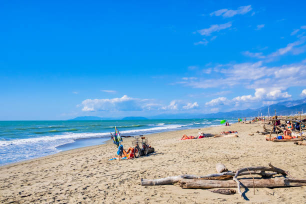 lecciona beach in the nature park of migliarino, san rossore, massaciuccoli (tuscany, italy) - 2586 imagens e fotografias de stock