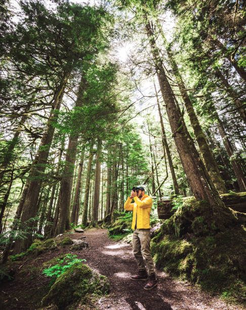 istock photographer in the forest 1384797105