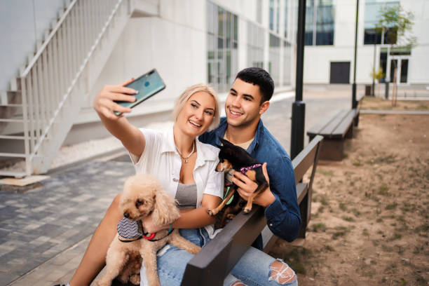 istock Young couple taking selfies with their dogs 1384797123
