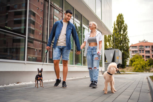 istock Young couple taking their dogs for a walk 1384797164