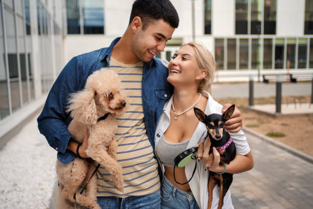 istock Young couple taking their dogs for a walk 1384797211