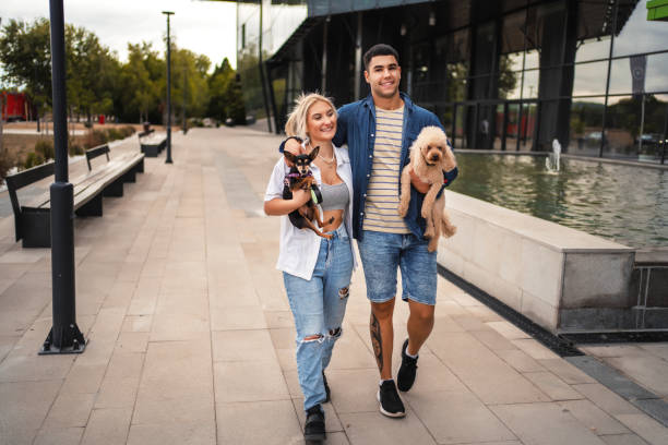 istock Young couple taking their dogs for a walk 1384797796