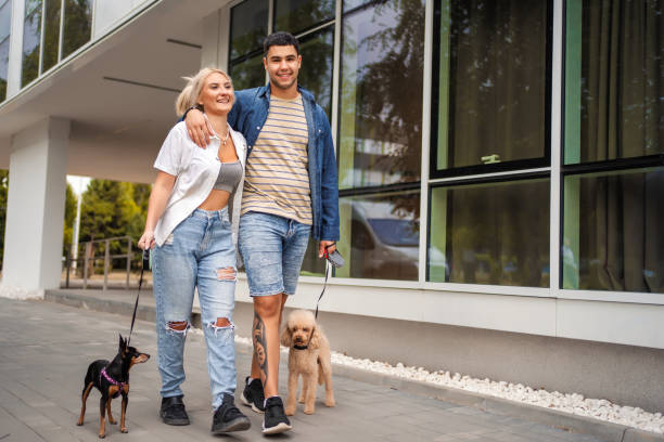 istock Young couple taking their dogs for a walk 1384798364