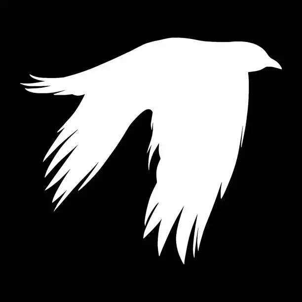 Vector illustration of crow silhouette