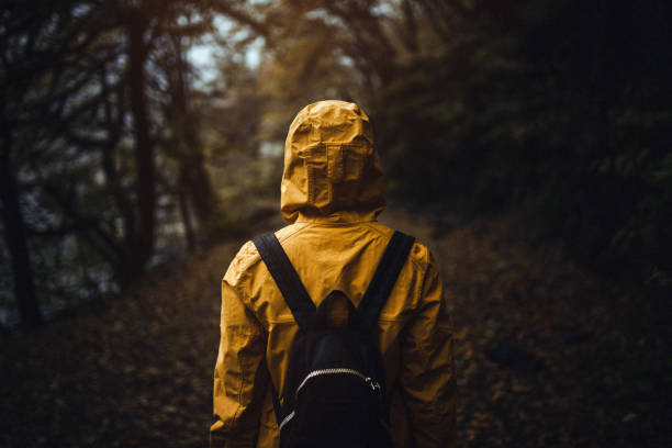 istock Walking in the the park at rainy weather 1384802943