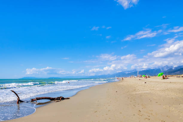 lecciona beach im naturpark migliarino, san rossore, massaciuccoli (toskana, italien) - 2589 stock-fotos und bilder