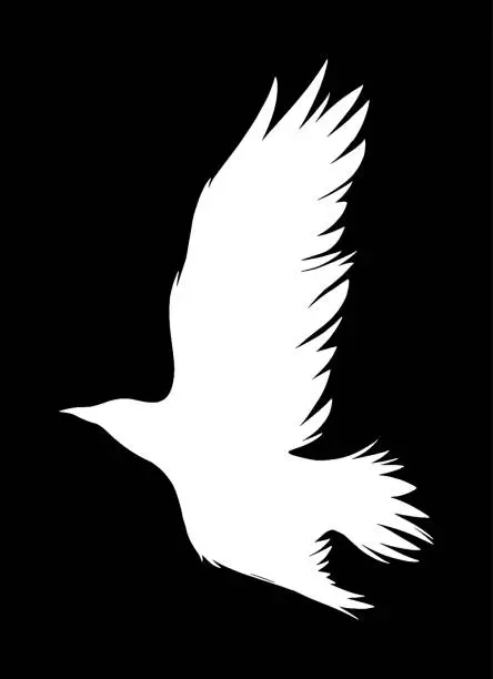 Vector illustration of crow silhouette