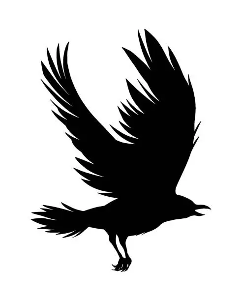 Vector illustration of crow silhouette