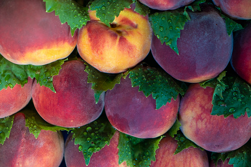Fresh ripe peaches in the market