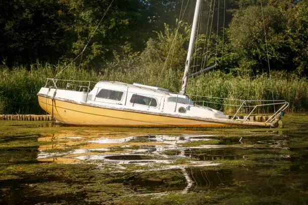 White and yellow ship wreck