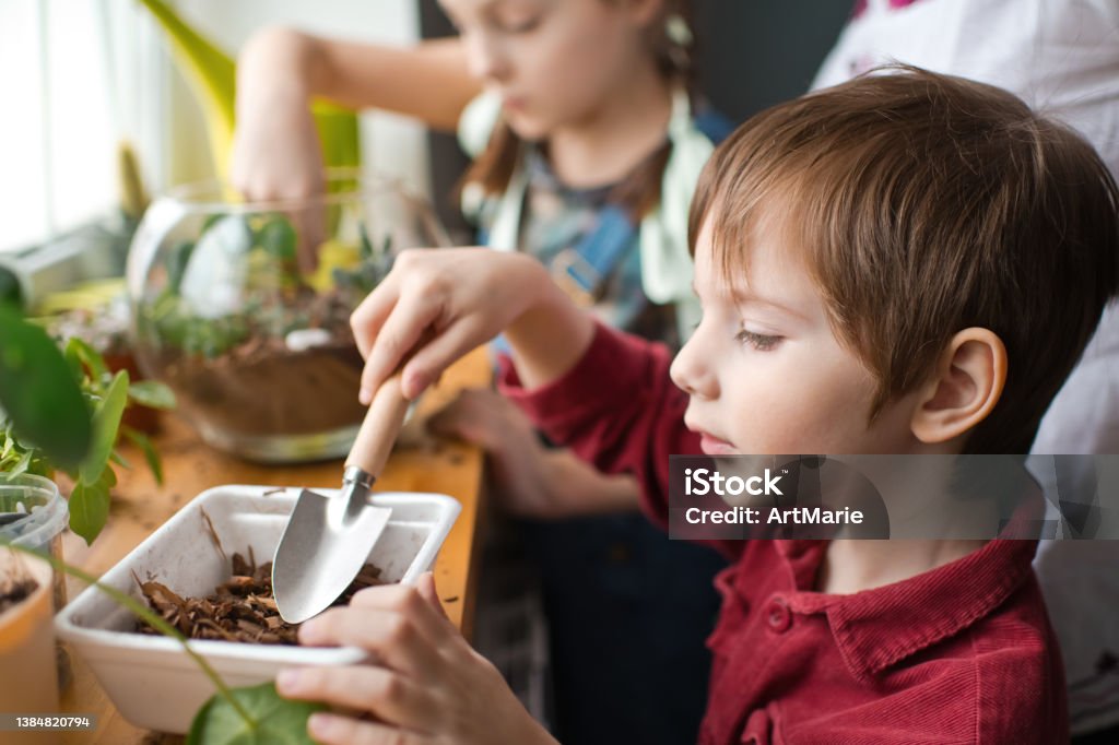 Family transplanting plants in florarium at home Mother teaching children how to plant green succulents in a dry glass florarium Education Stock Photo