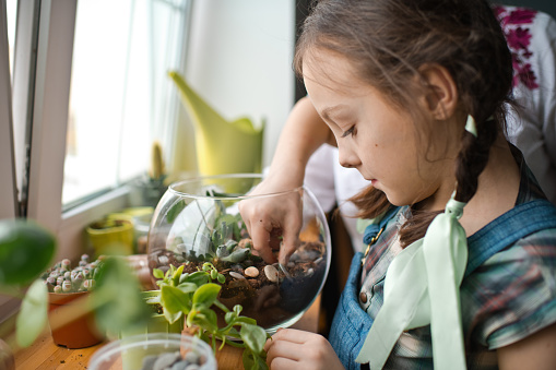 Mother teaching girl how to plant green succulents in a dry glass florarium