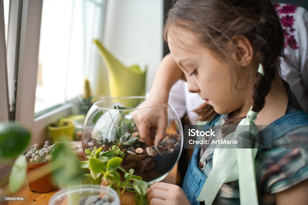 Family transplanting plants in florarium at home Mother teaching girl how to plant green succulents in a dry glass florarium Terrarium Stock Photo