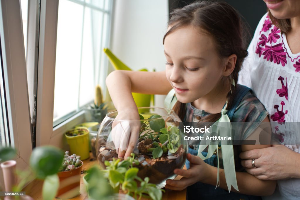 Family transplanting plants in florarium at home Mother teaching girl how to plant green succulents in a dry glass florarium Education Training Class Stock Photo