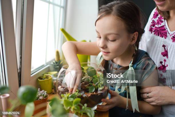 Family Transplanting Plants In Florarium At Home Stock Photo - Download Image Now - Education Training Class, Terrarium, Houseplant