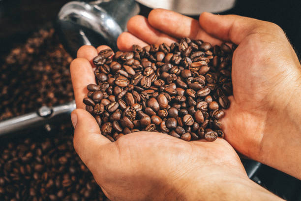 Fresh coffee beans, Coffee roaster, Roasted coffee stock photo
