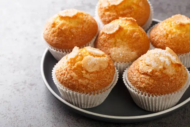 Photo of Homemade magdalenas the typical spanish muffins closeup in the plate. Horizontal