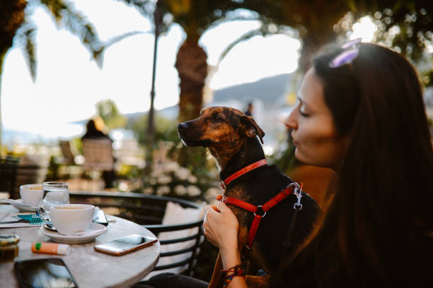istock woman relaxing in a pet friendly cafe 1384829531