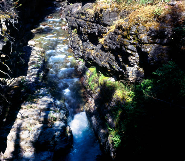 istock Mountain stream, Glacier National Park 1384831532