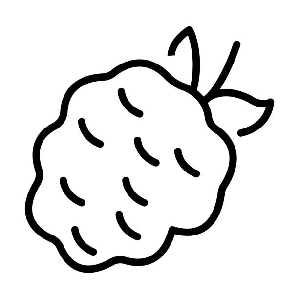 illustrations, cliparts, dessins animés et icônes de icône de mûre de la collection de fruits et légumes. fine icône linéaire de mûre, fraise, contour de baie isolée sur fond blanc. signe blackberry vectoriel de ligne, symbole pour le web et le mobile. - grape nature design berry fruit