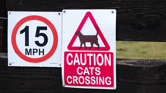 Red triangle caution cats crossing sign and speed limit