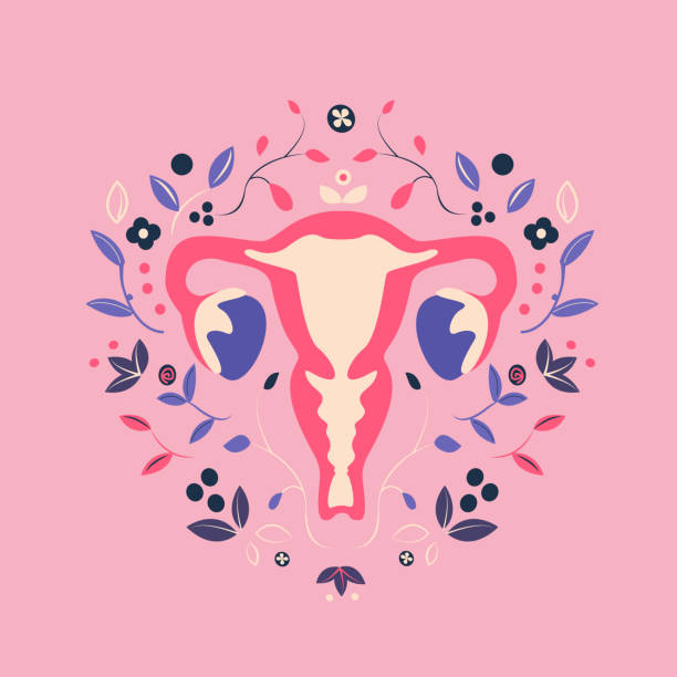 schöne weibliche fortpflanzungssystem mit flowers.feminine gynäkologie.anatomische weibliche uterus, ovaries.vagina symbol menstruation.hand gezeichnet uterus, womb weibliche fortpflanzungsorgane. vektor-illustration - ovulation stock-grafiken, -clipart, -cartoons und -symbole