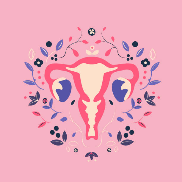 piękny żeński układ rozrodczy z flowers.feminine gynecology.anatomiczne samice macicy,jajniki.miesiączka symbol pochwy.ręcznie rysowana macica,łono żeńskie narządy rozrodcze. ilustracja wektorowa - ovary stock illustrations