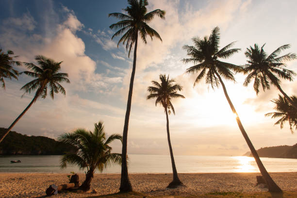 istock A tropical beach on summer dusk. 1384839415