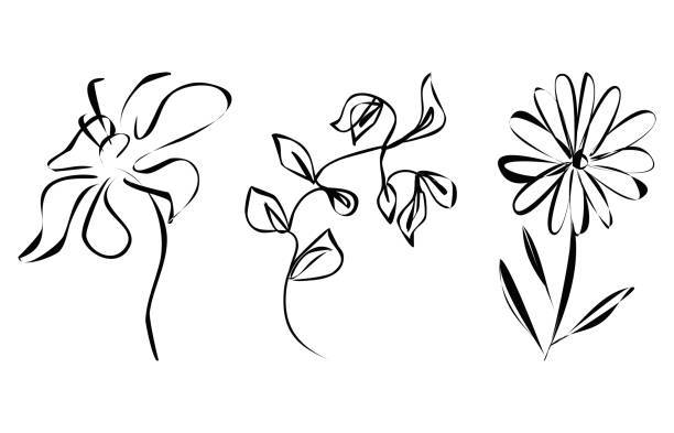векторный абстрактный каракуль стиль минимализм растения цветочный лист эскизы одна линия искусство ручной рисунок символ ручной работы � - inks on paper illustrations stock illustrations