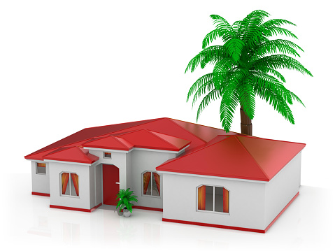 3d render. Modern house with a palm tree isolated on white background.