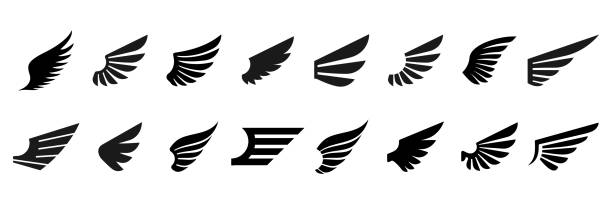 satz von flügelsymbolen. vektorillustration - bird wings stock-grafiken, -clipart, -cartoons und -symbole