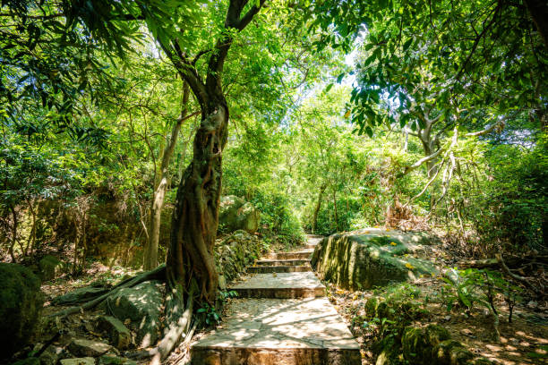 Telephoto image of some of the pathway around the temple.