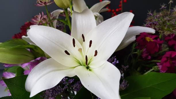 istock Close up of white lily 1384848822