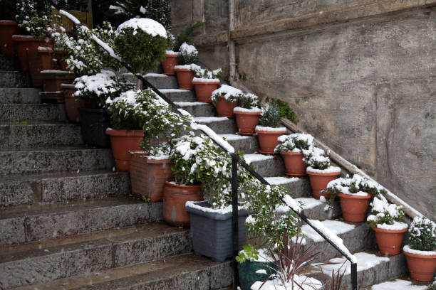 historical city istanbul landscape
