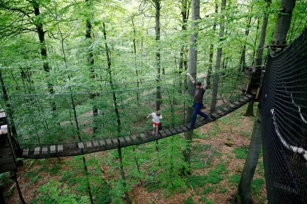 Little preschool girl and father walking on high tree-canopy trail with wooden walkway and ropeways. Happy active child and dad, young man exploring treetop path. Funny activity for families outdoors.